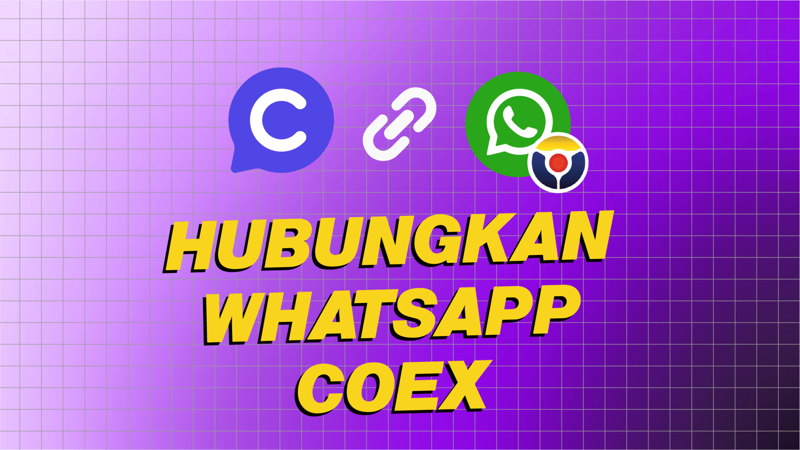 CoEx / WhatsApp